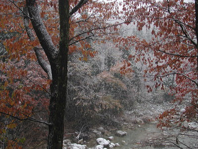 雪景色