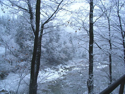 雪景色