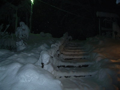 雪景色