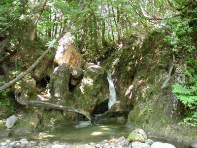 中ノ沢川