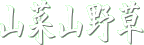 �R�� �R�쑐